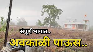 हवामान विभागाकडून अलर्ट..